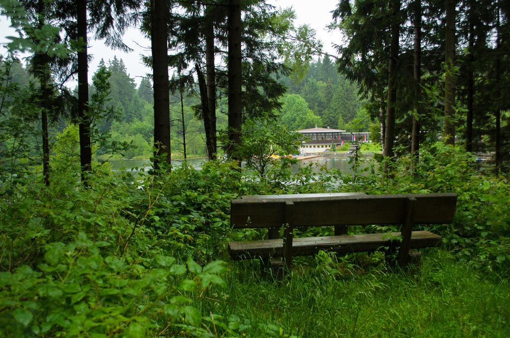 Hotel Waldrausch Goslar Luaran gambar