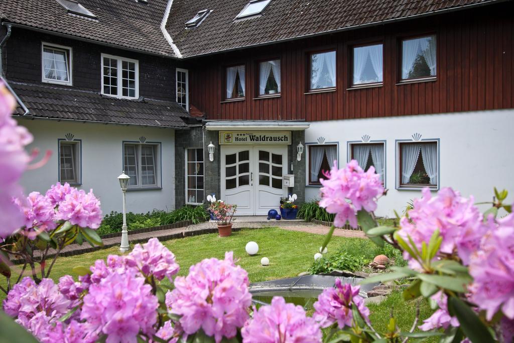 Hotel Waldrausch Goslar Luaran gambar